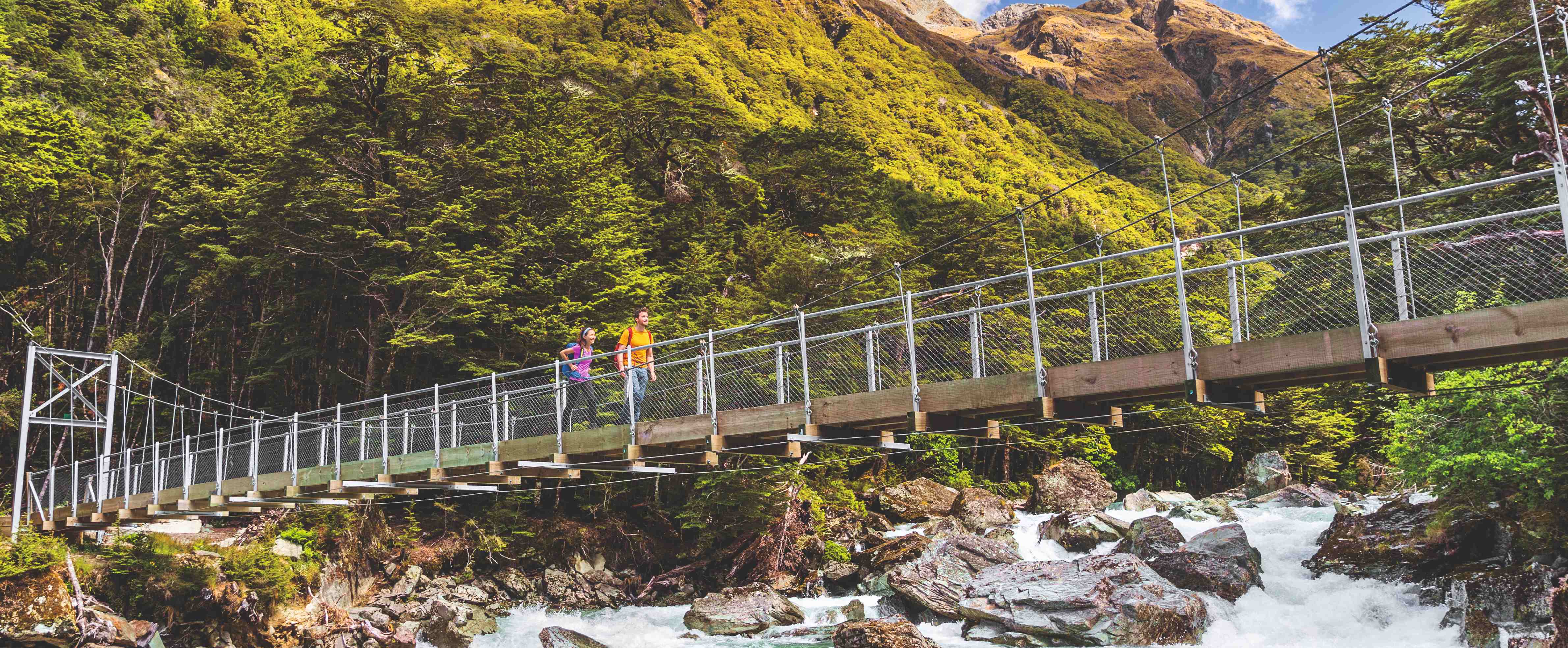 Neuseeland – Routaburn Track