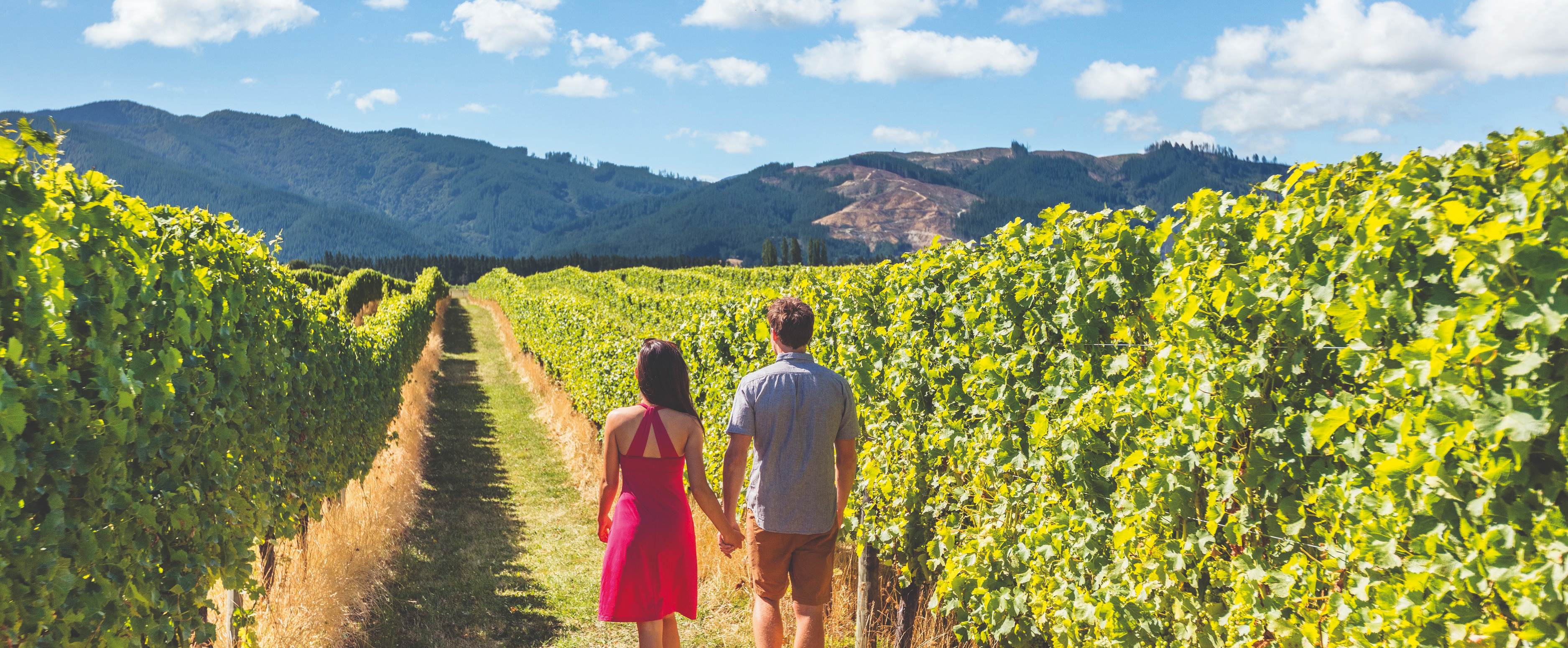 01_Neuseeland_Weinregion_shutterstock_679336963_klein