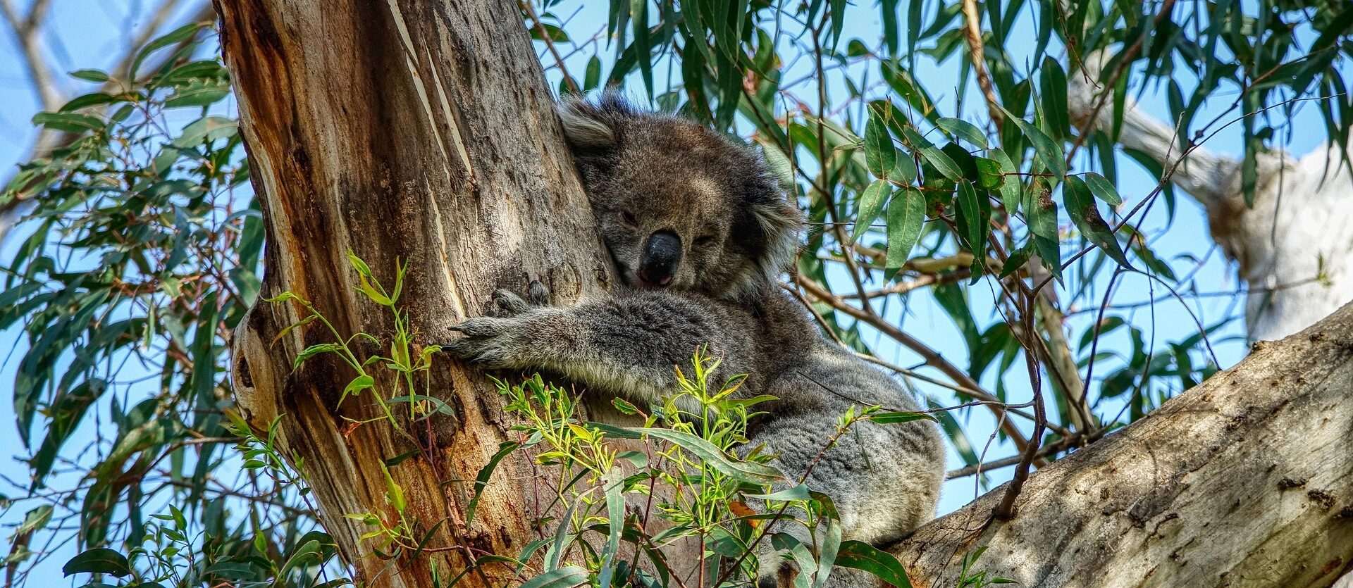 Australien - Neuseeland "Die große Kombireise" Termine 2026/2027