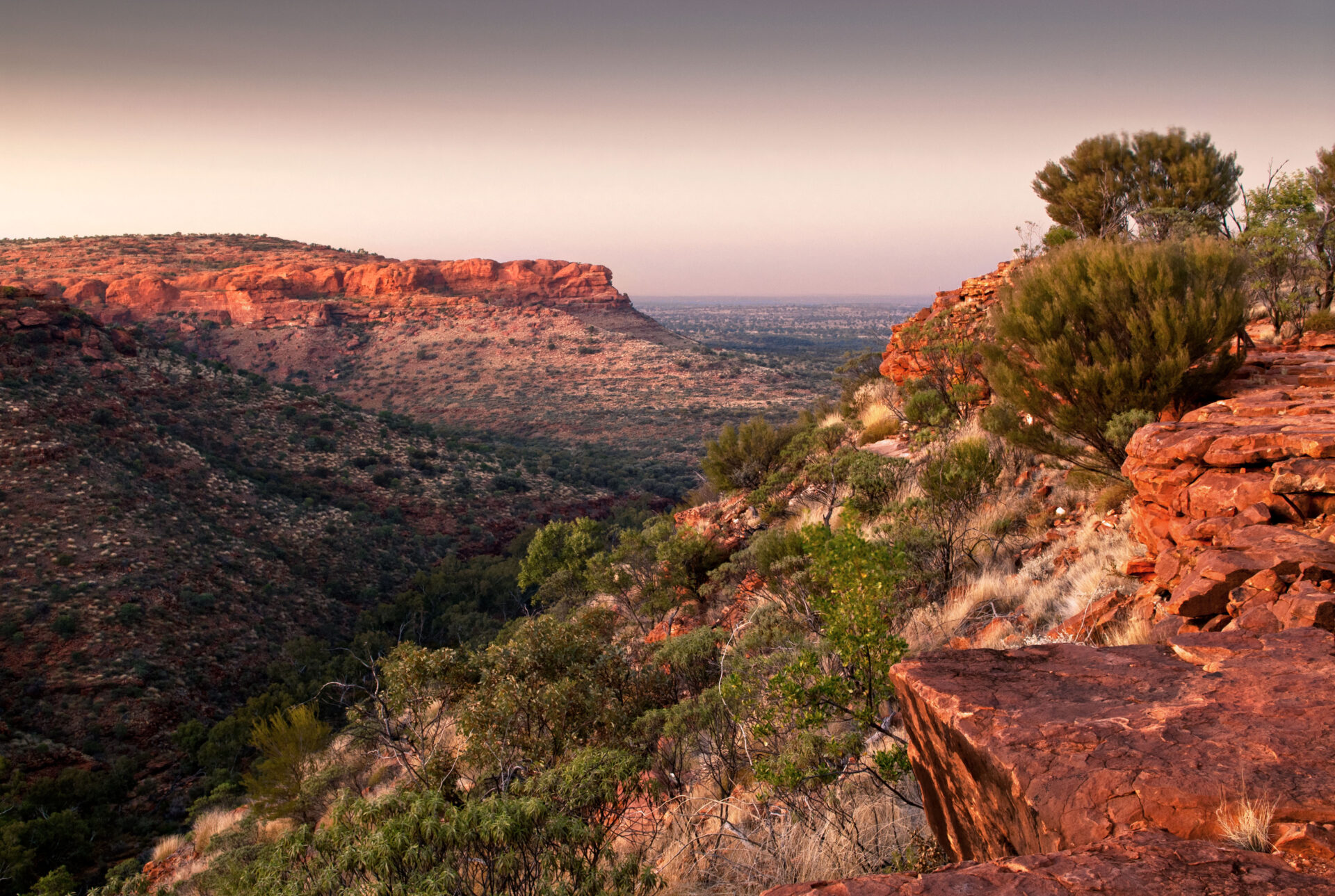 Kings Canyon Aussicht vom Rim Walk mit steilen roten Sandsteinwänden, Garden of Eden und Canyons