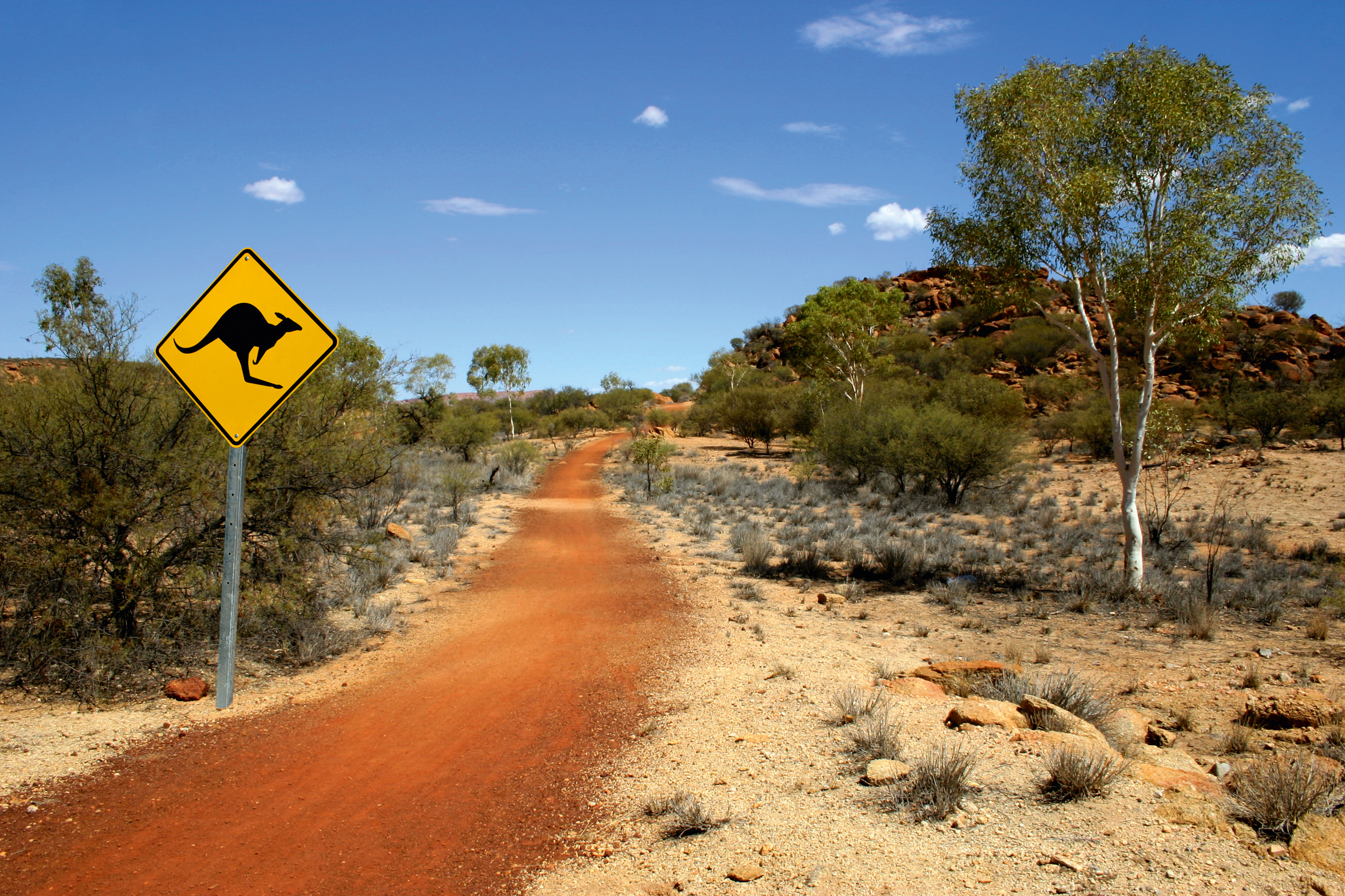 Outback Kangaroo Sign