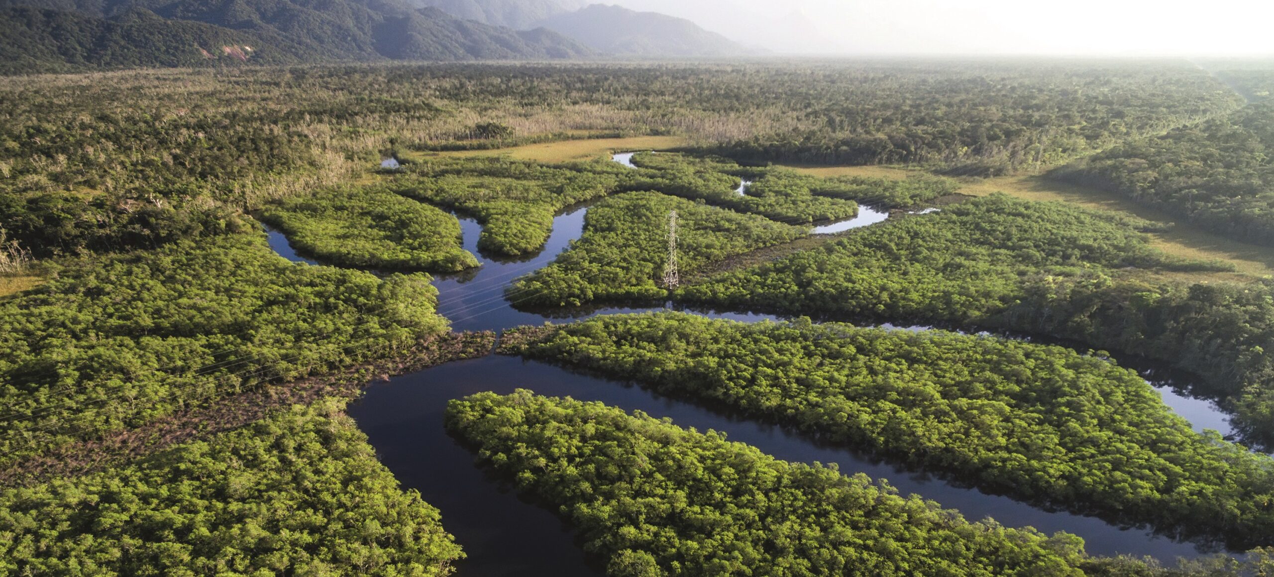 Im Bann des Amazonas