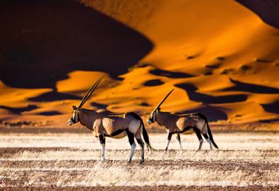 Dünnen von Sossusvlei, Namibia