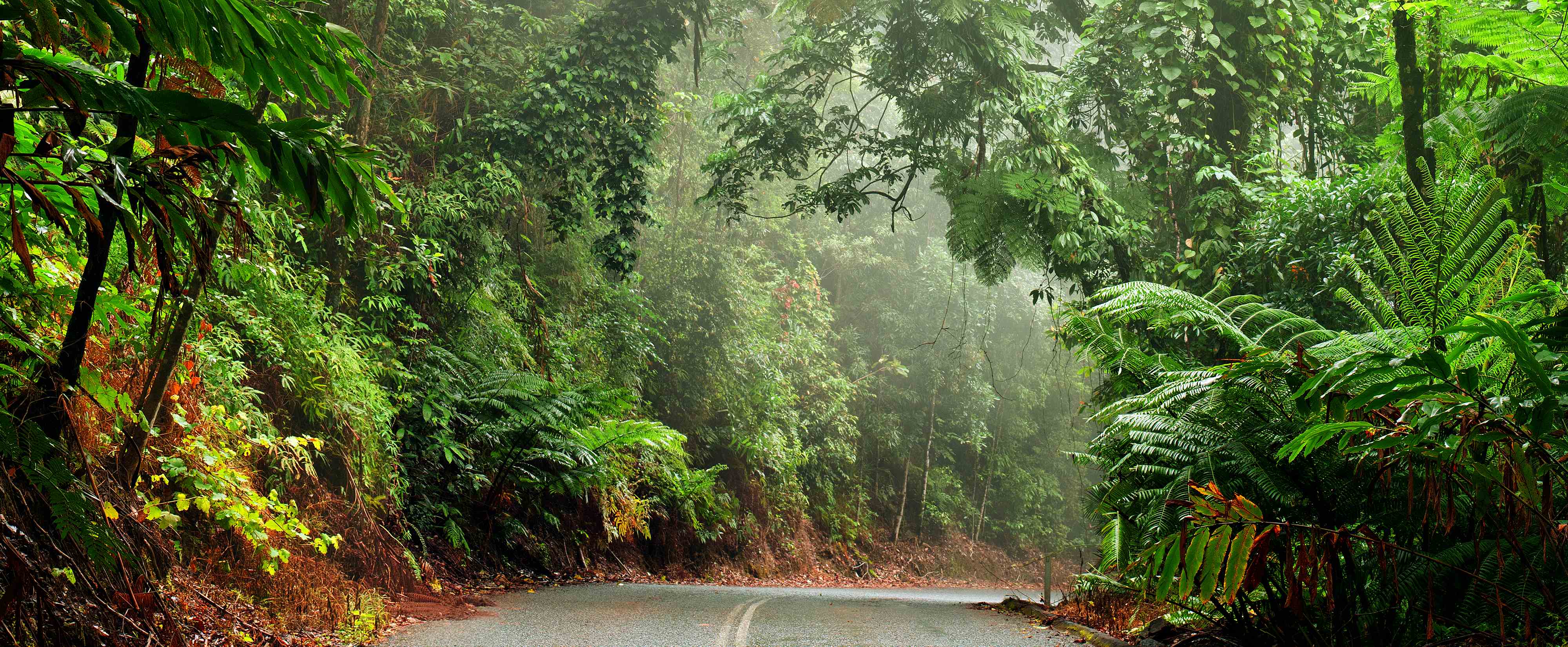 Daintree Nationalpark