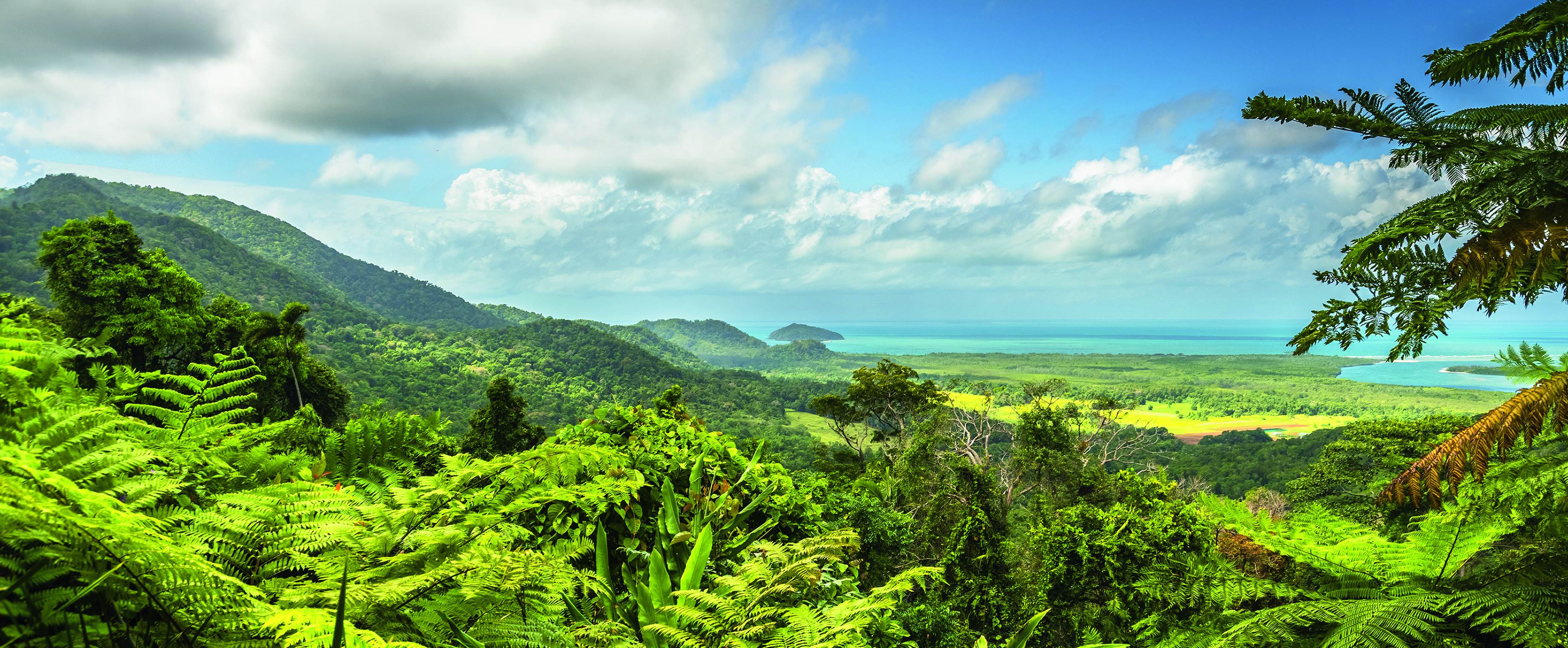Daintree Nationalpark Daintree Nationalpark