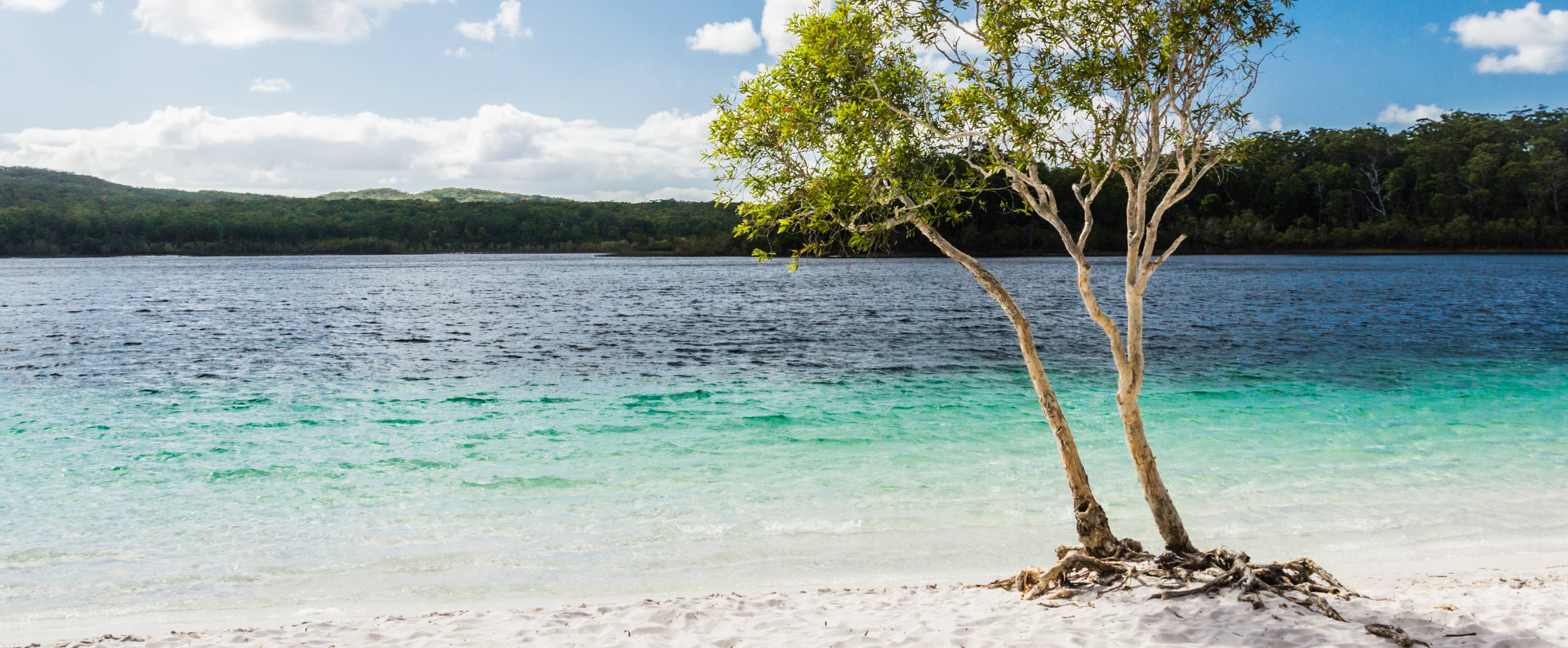 Fraser Island – Lake McKenzie Fraser Island - Lake McKenzie