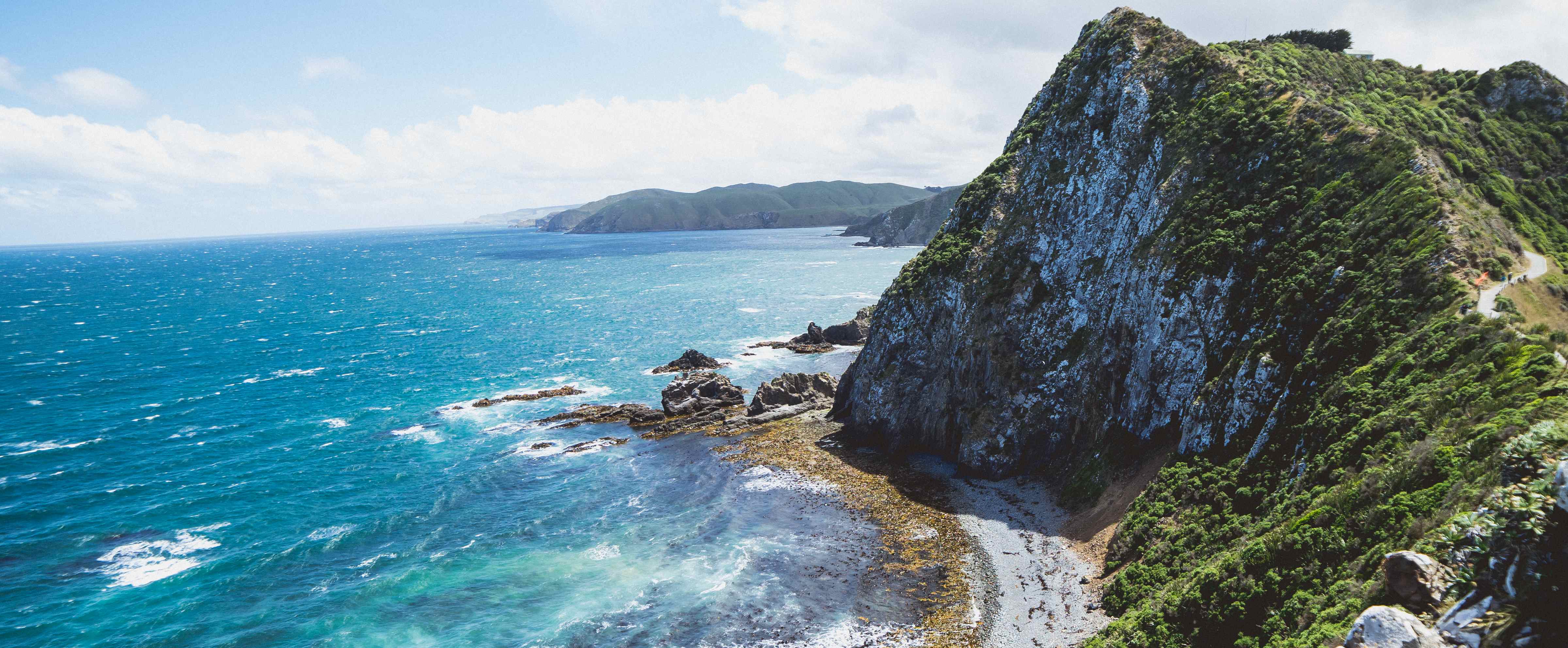 Catlins Catlins
