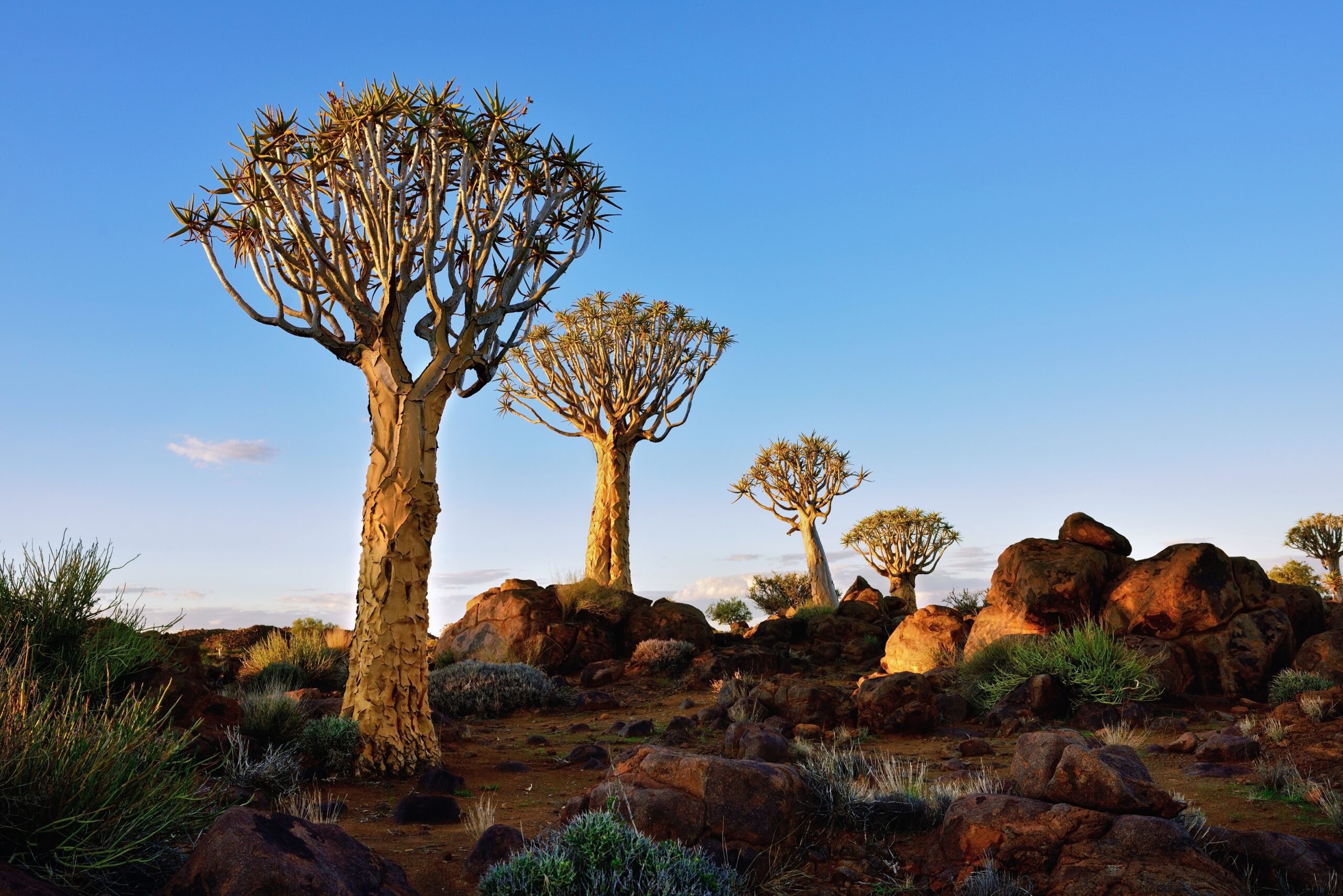 Keetmanshoop_shutterstock_397812058