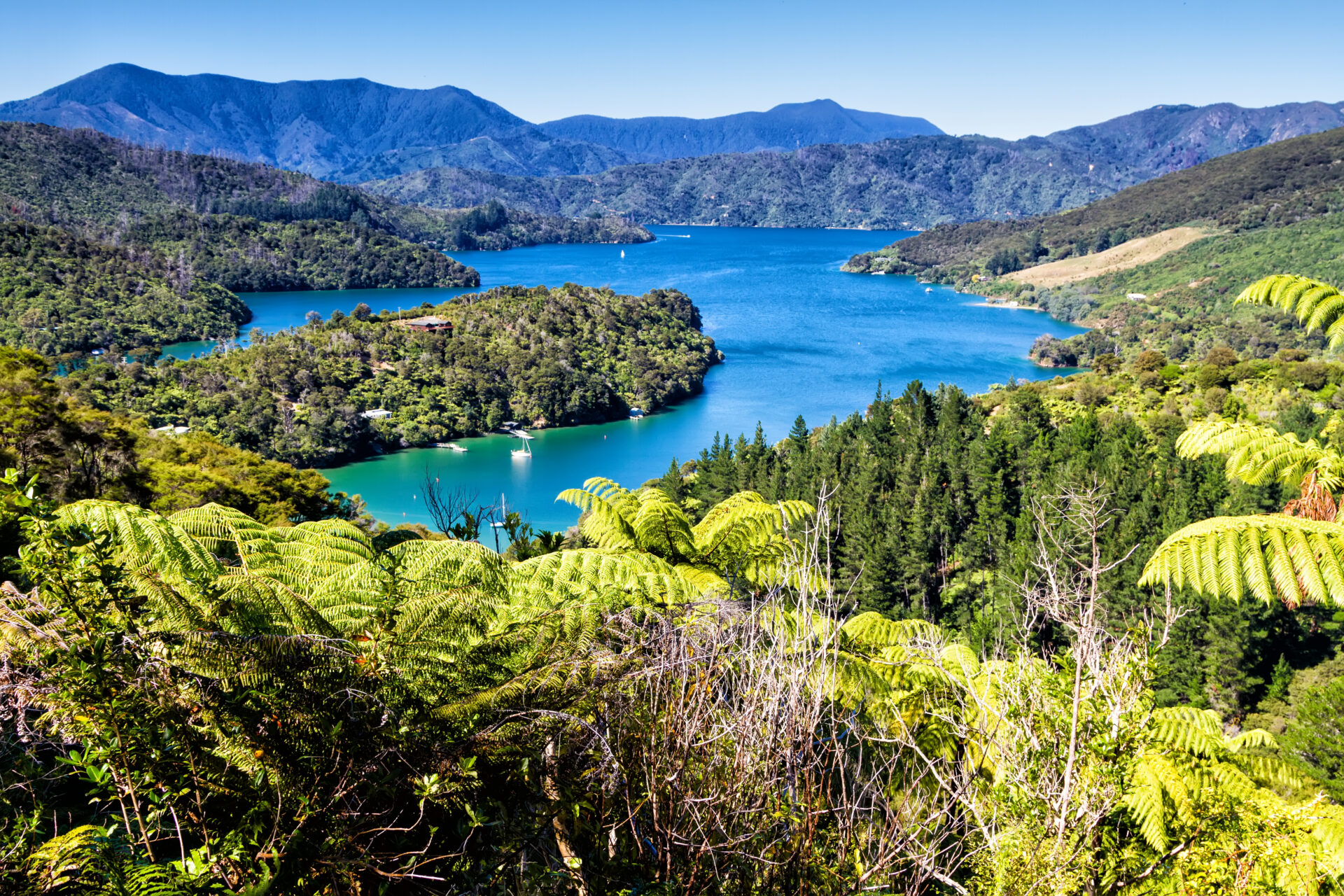 Marlborough Sound