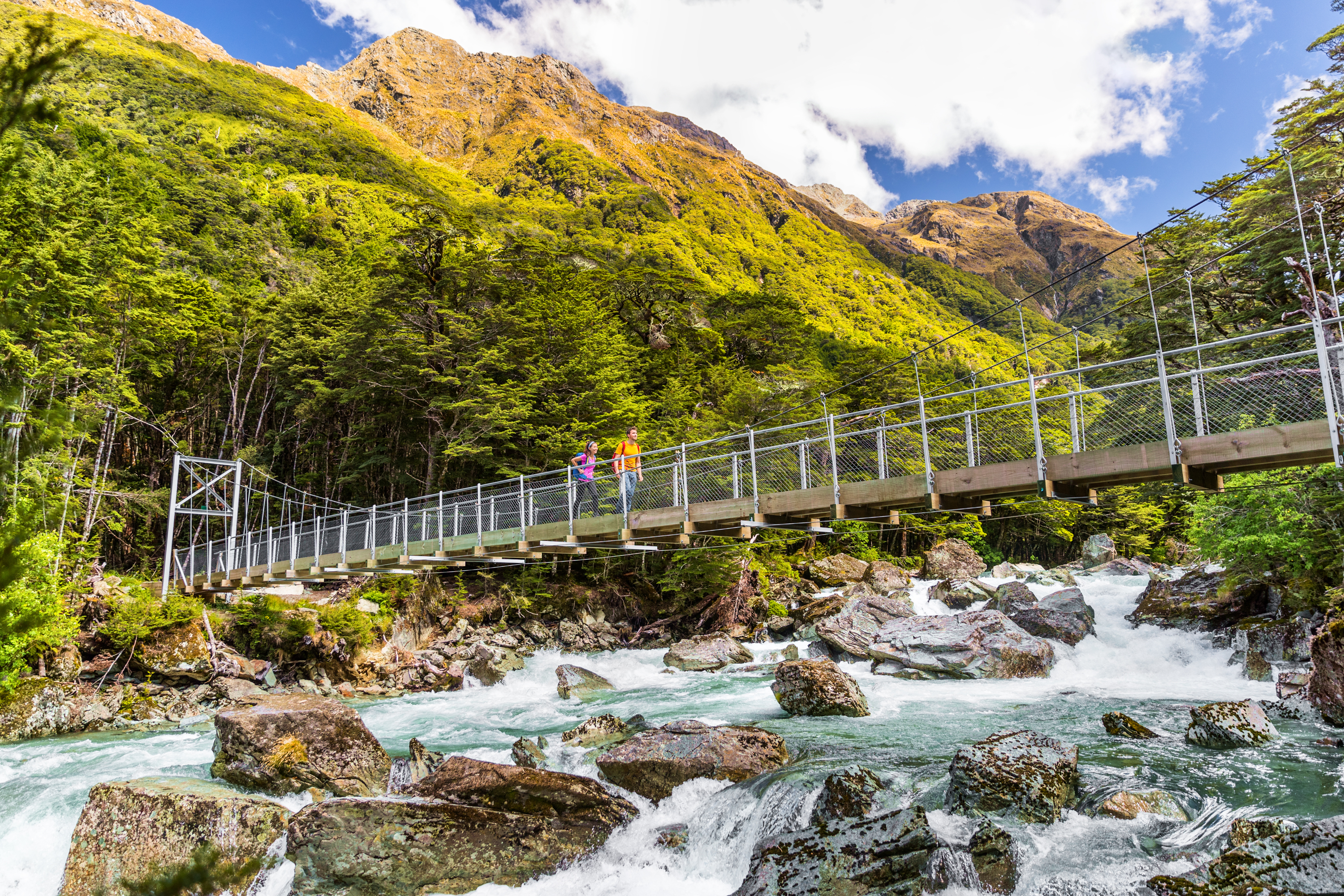 NZ_Routaburn_Track_Neuseeland_shutterstock_684131617_05JUN2018 NZ_Routaburn_Track_Neuseeland_shutterstock_684131617_05JUN2018