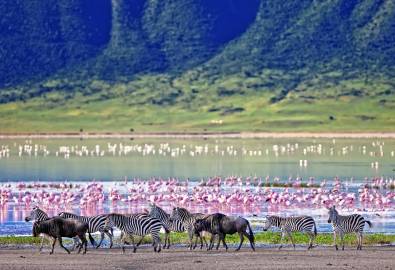 Ngorongoro Krater - Tierreichturm, Tansania