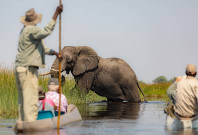 Botswana - Okavango
