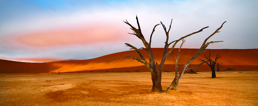 PG. 22 Dead Vlei
