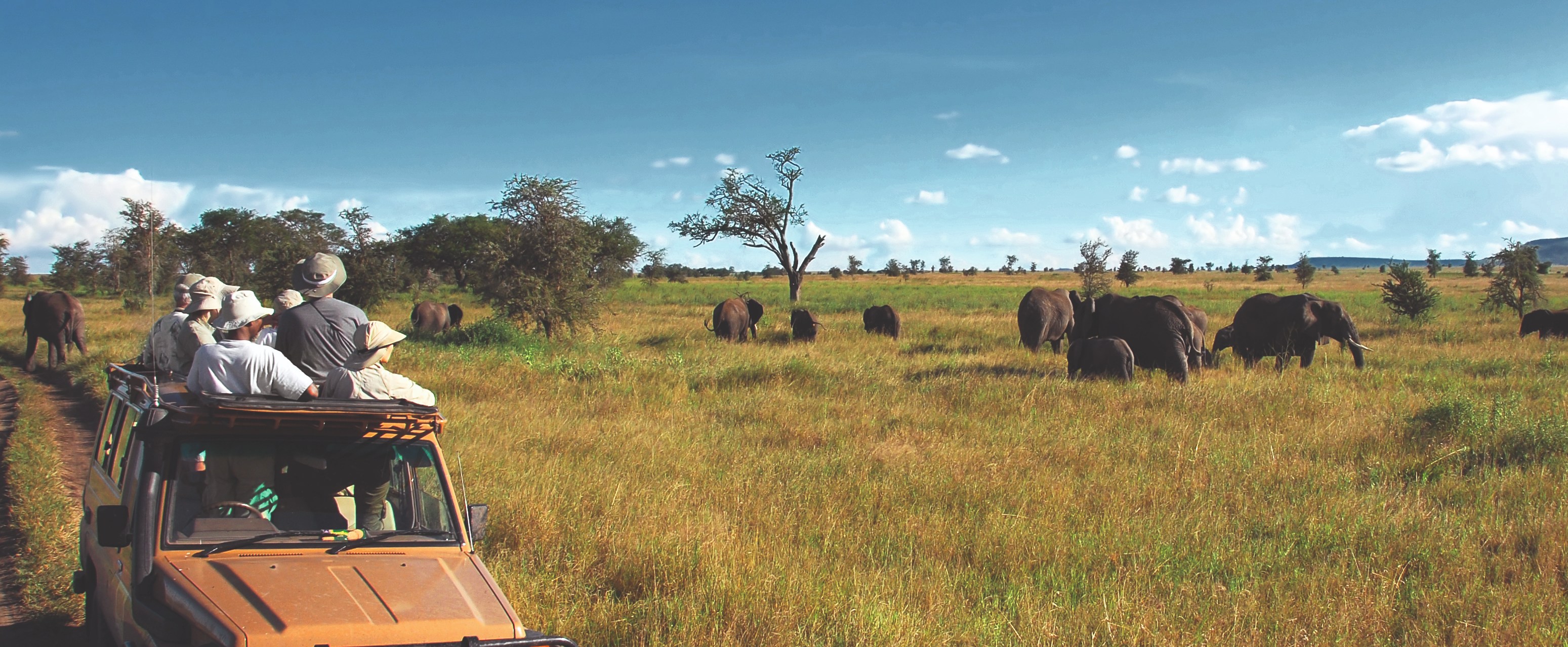 Tansania – Serengeti Safari