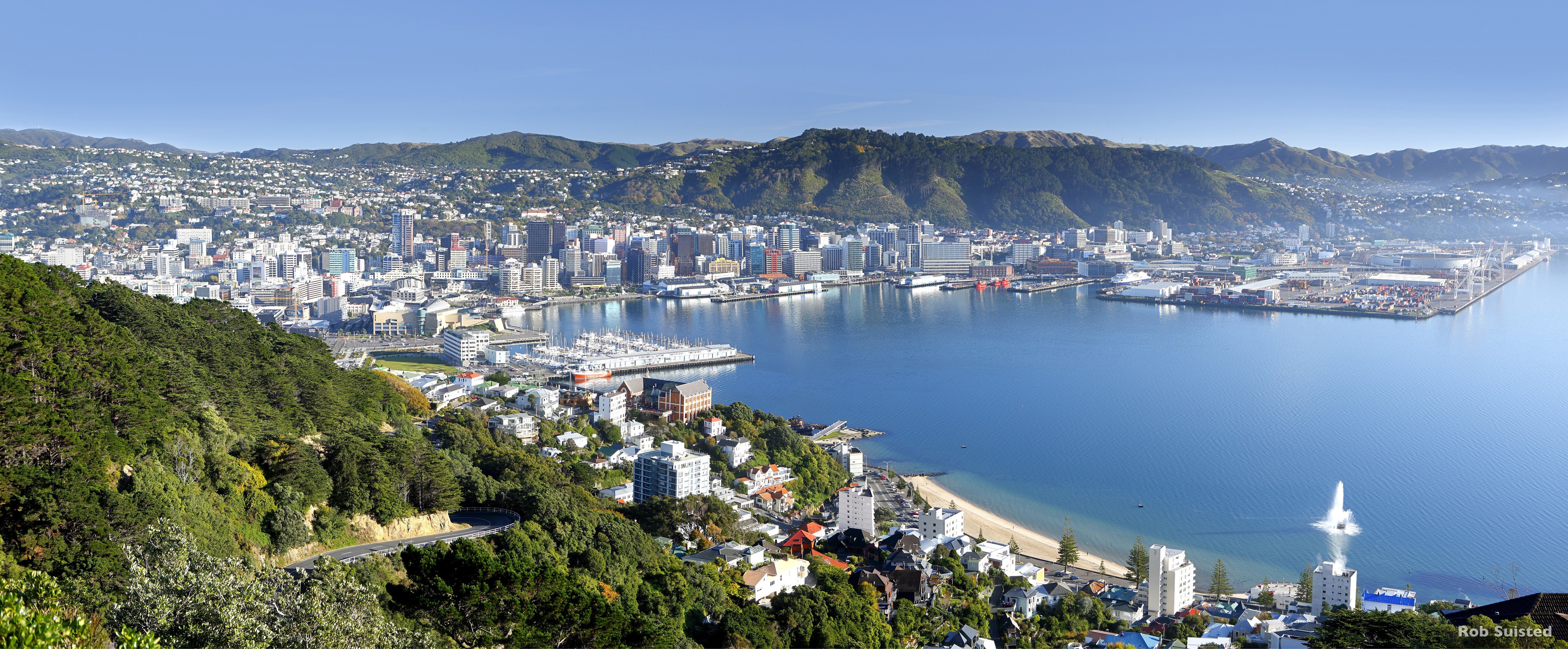 Wellington City and Harbour from Mount Victoria