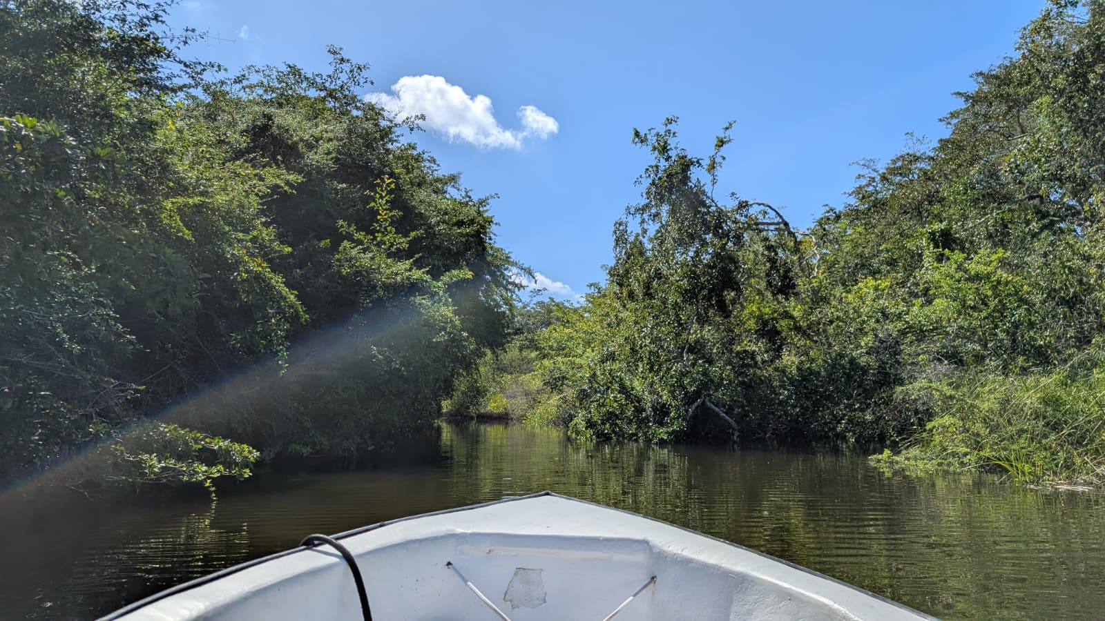 Bootstour nach Lamanai