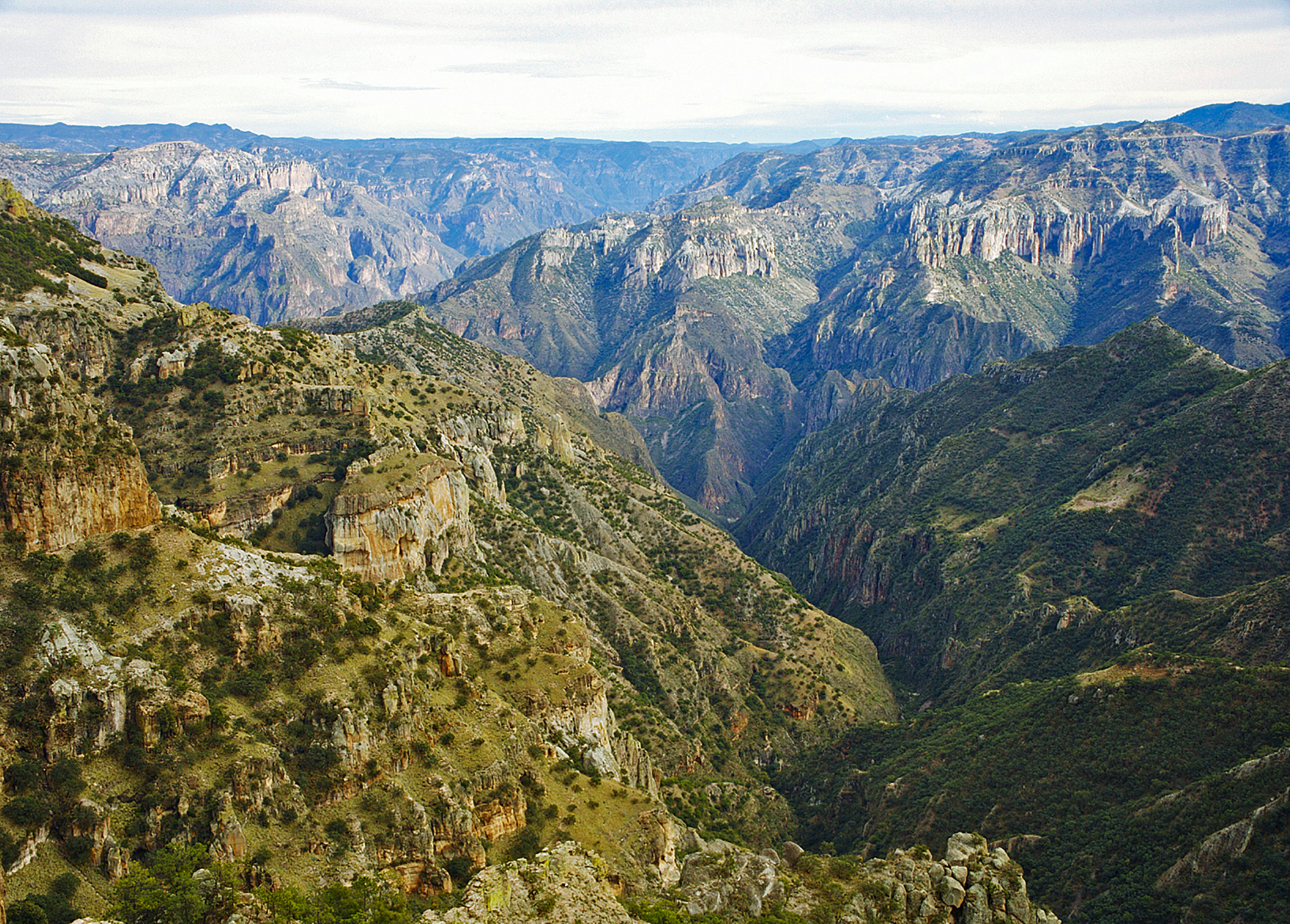 Copper Canyon of Mexico: