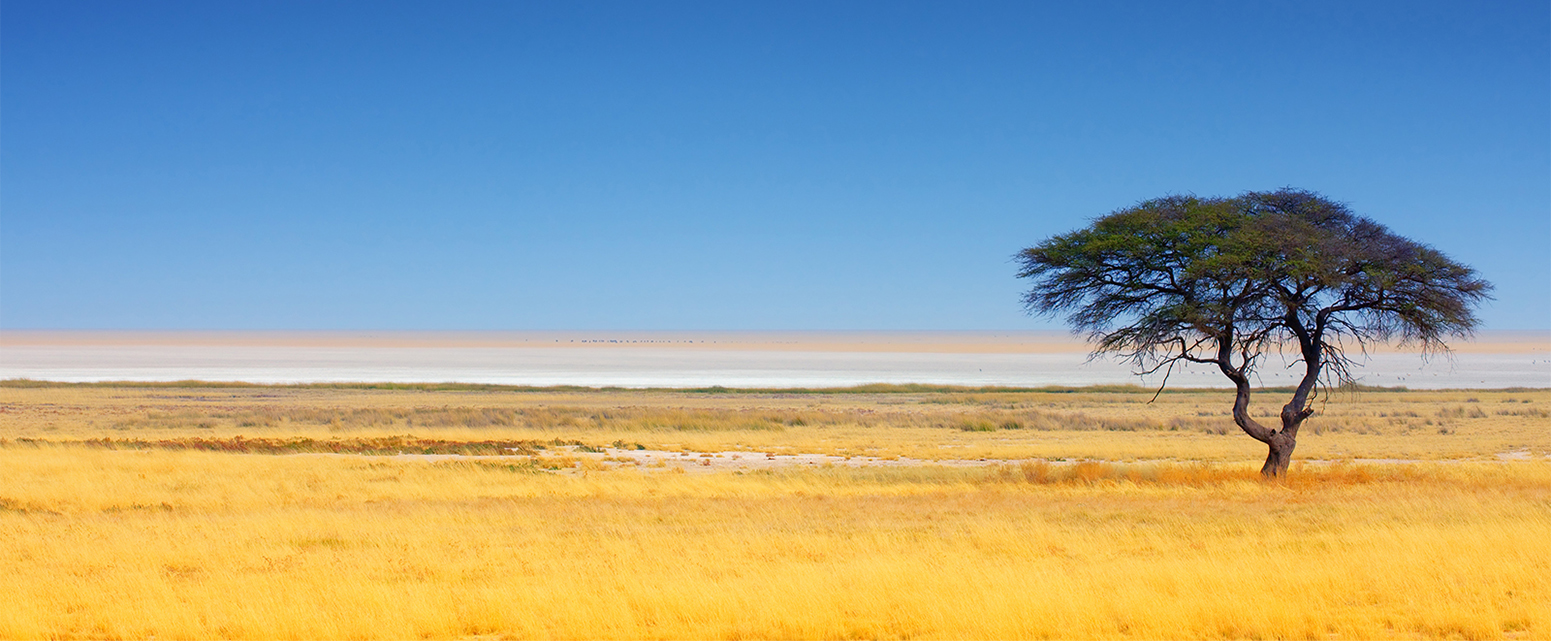 Etosha Nationalpark, Namibia