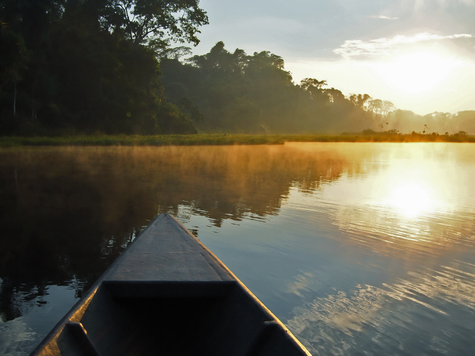 Amazon rainforest sunrise by boat