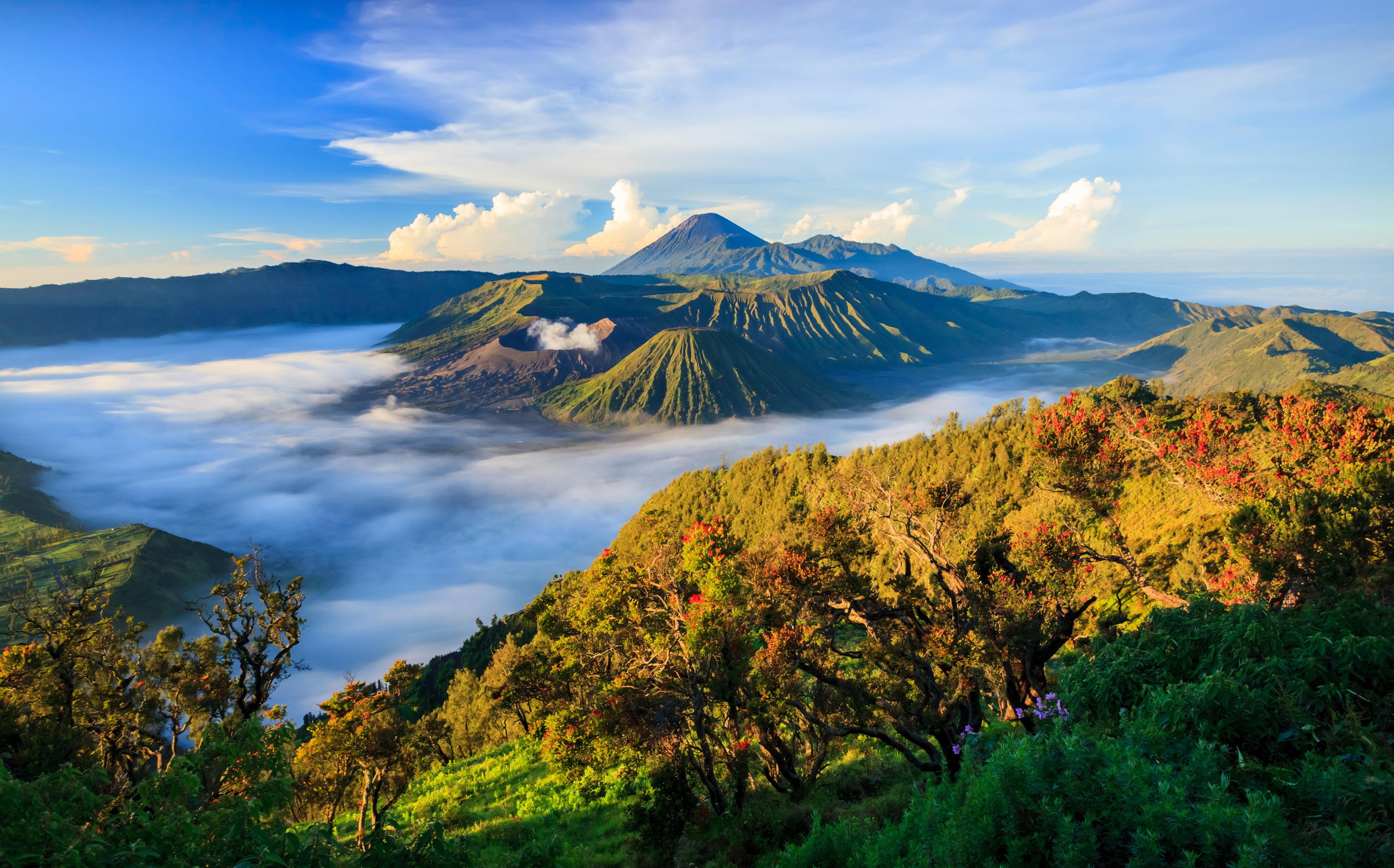 Bromo vocalno at sunrise, East Java, , Indonesia Bromo vocalno at sunrise, East Java, , Indonesia