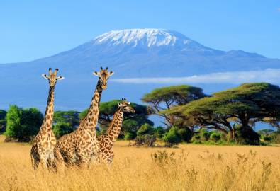 Tansania - Kilimanjaro