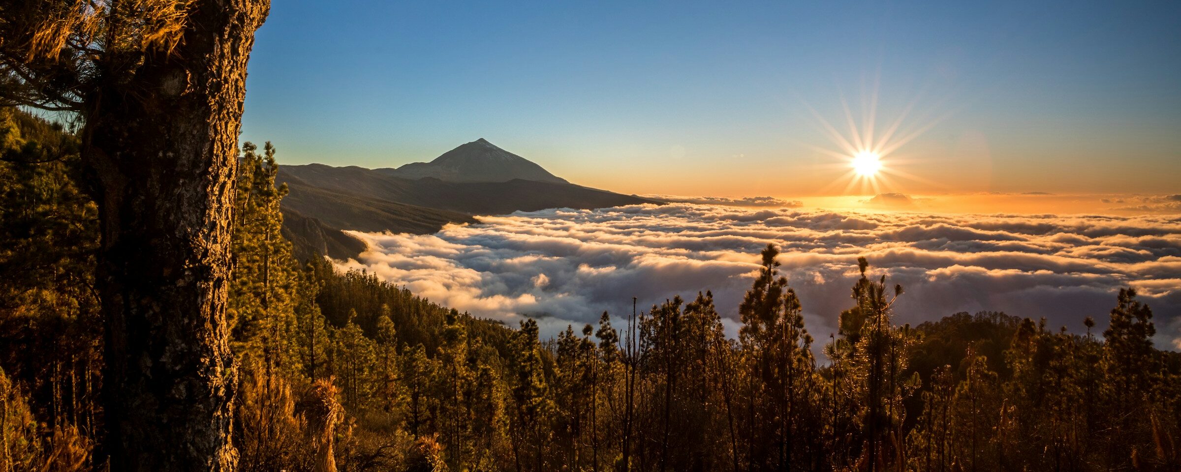 Spanien „Teneriffa individuell entdecken“ 2025/2026