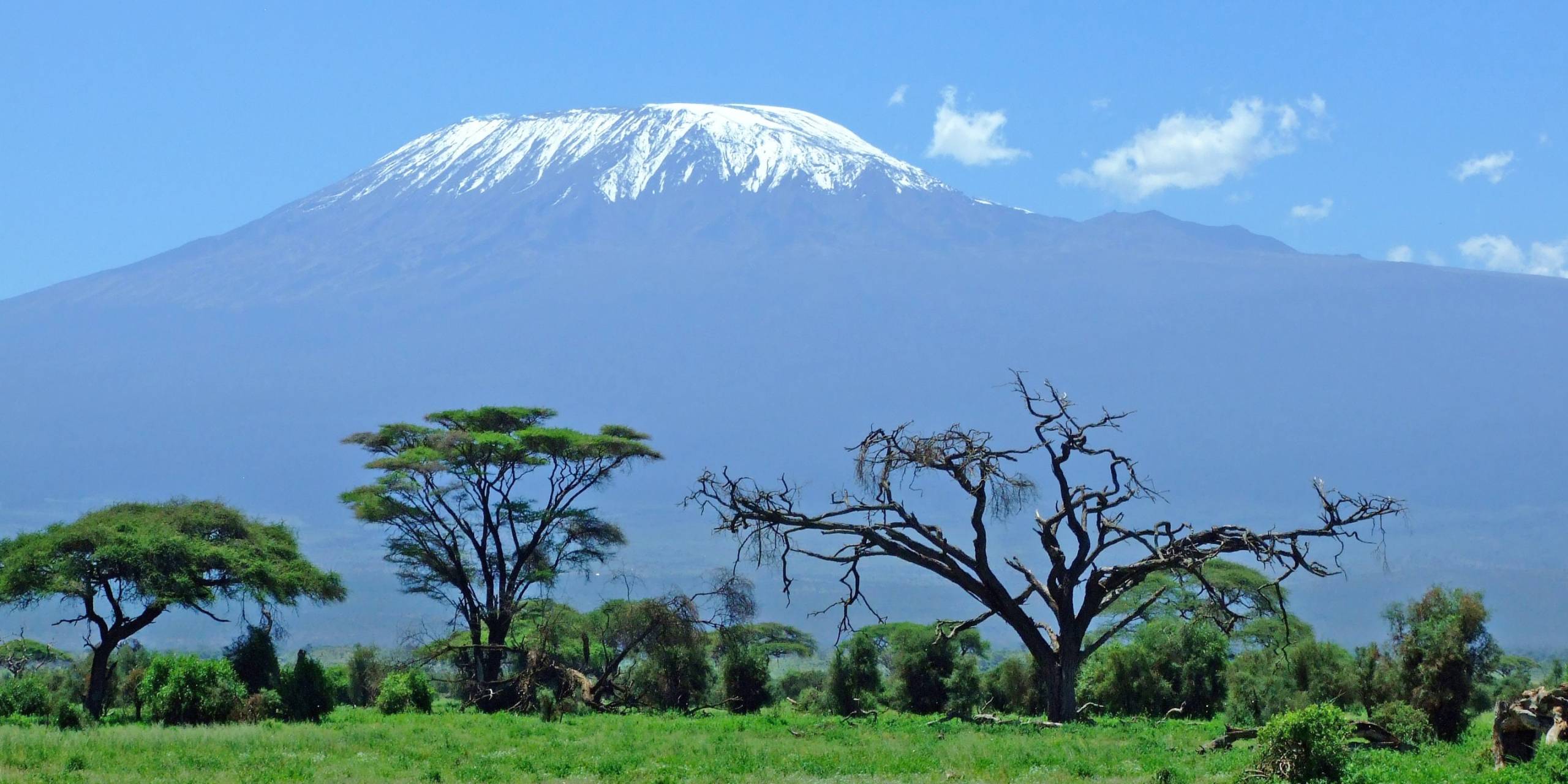 Kilimandscharo im Nordosten Tansanias