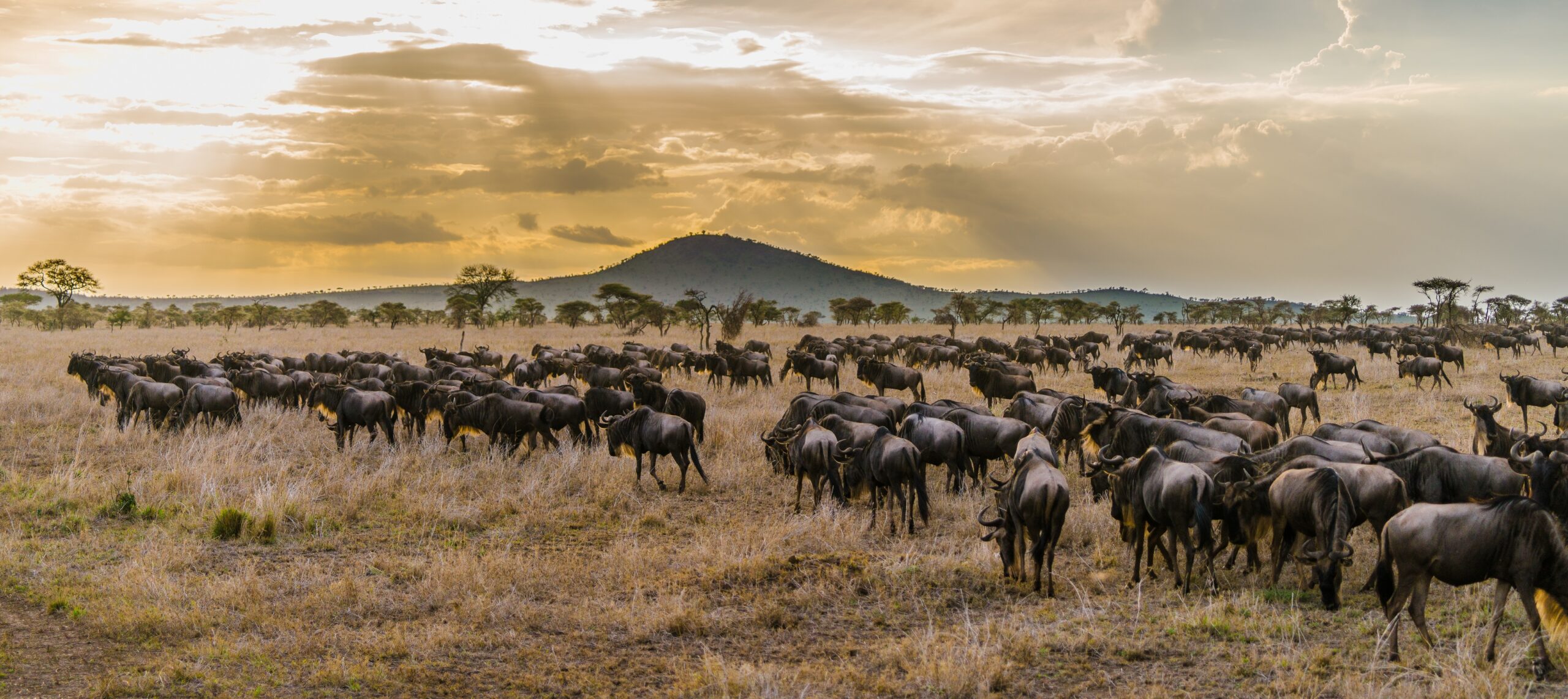 Afrika Reisen