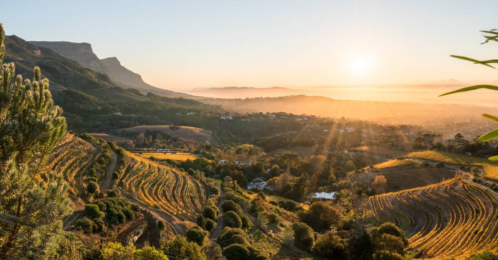Cape Winelands Cape Winelands
