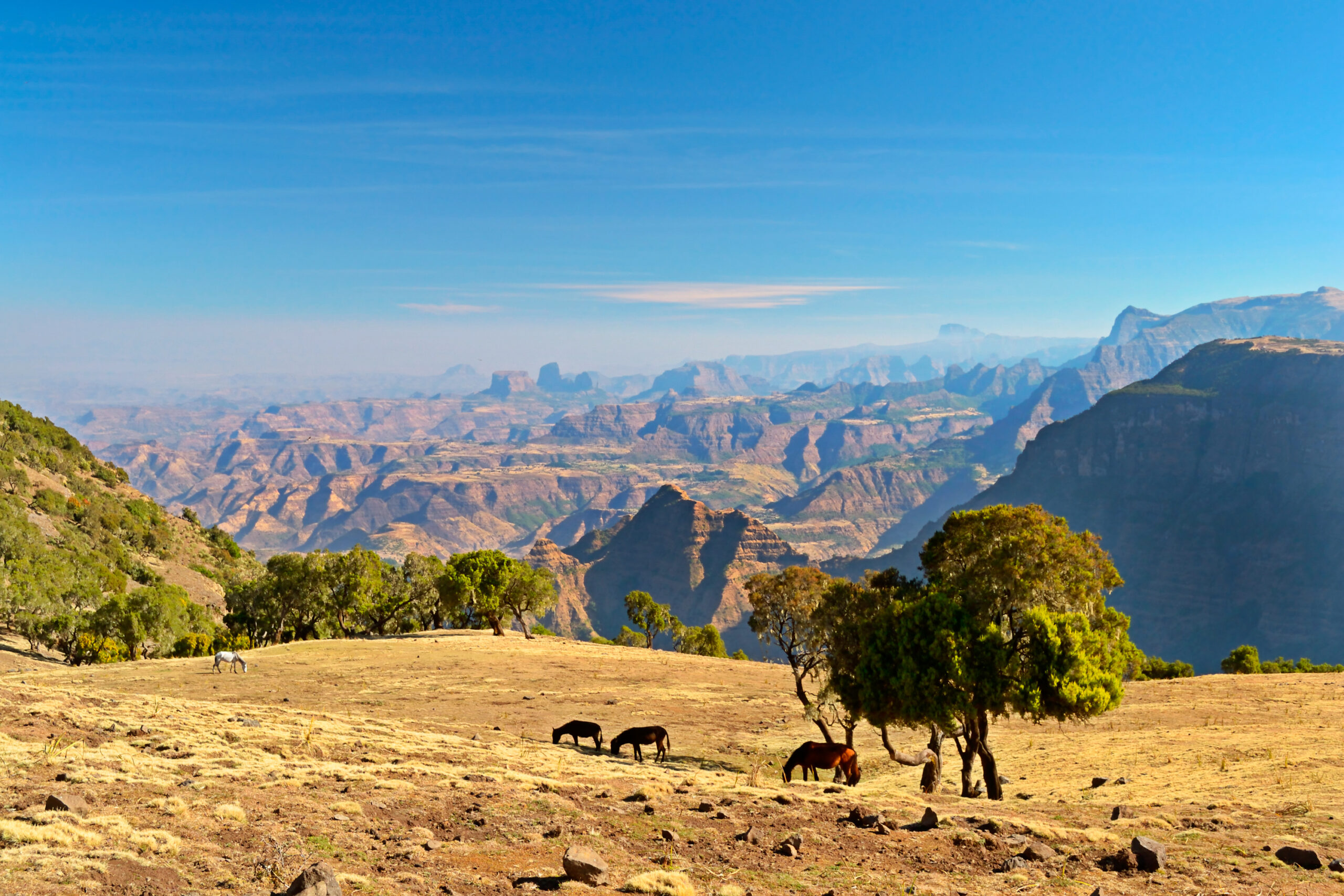 simien-mountains-iStock_000022223571XLarge