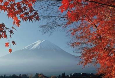 Japan Rundreisen Ihr Japan Urlaub Mit Kiwi Tours