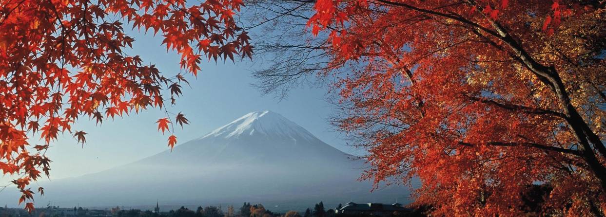 Japan Fuji San Geisha Japan Fuji San Geisha