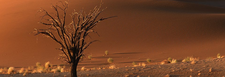 Namibia Sossusvlei Namibia Sossusvlei