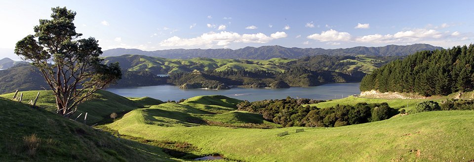 Neuseeland Coromandel Neuseeland Coromandel
