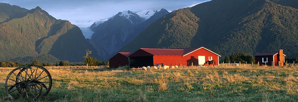 Neuseeland Fox Glacier Farm