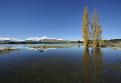 Neuseeland Lake Tekapo