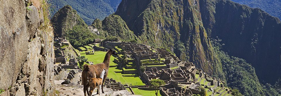 Peru Machu Picchu Peru Machu Picchu