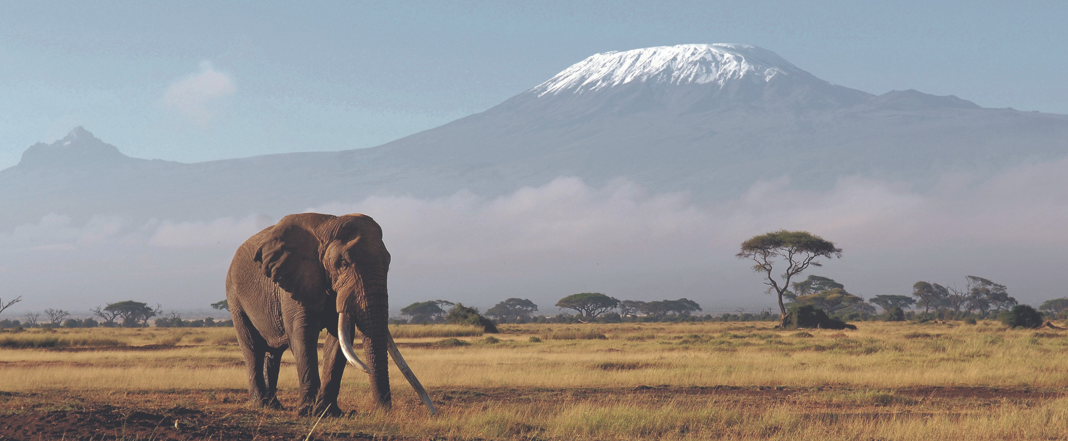 Tansania – Kilimanjaro