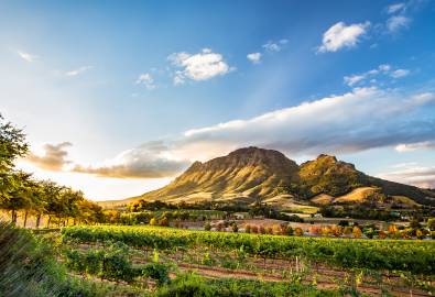 Weinregion Südafrikas